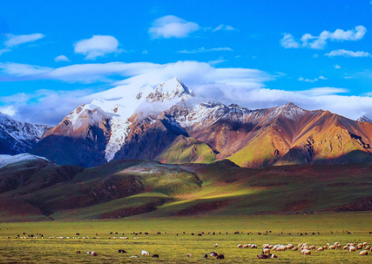 vr全景