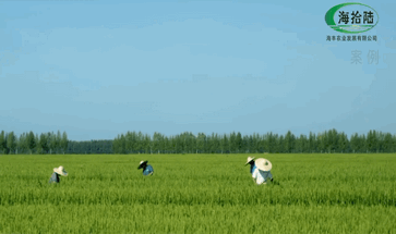 vr全景制作